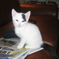 Charles Woodward Photo 30 Charles Woodward Photo 30