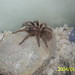 Samantha Ta Photo 15