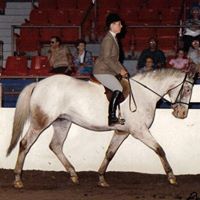 Lauren Appleby Photo 24