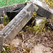 Elizabeth Bull Photo 11