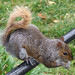Joyce Parks Photo 15