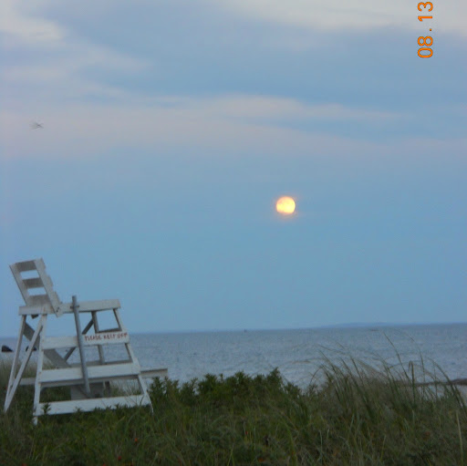 Nancy Lowell Photo 27