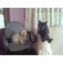 Debra Fowler Photo 7