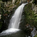Helen Mann Photo 12