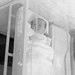 Stephen Ericson Photo 10