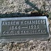 Annette Henderson Photo 9