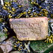 Joseph Dyke Photo 12