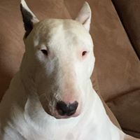 Paige Baumgartner Photo 3