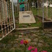 Alfonso Walker Photo 14