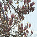 Barbara Hurst Photo 18