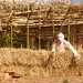 Julie Sutherland Photo 17