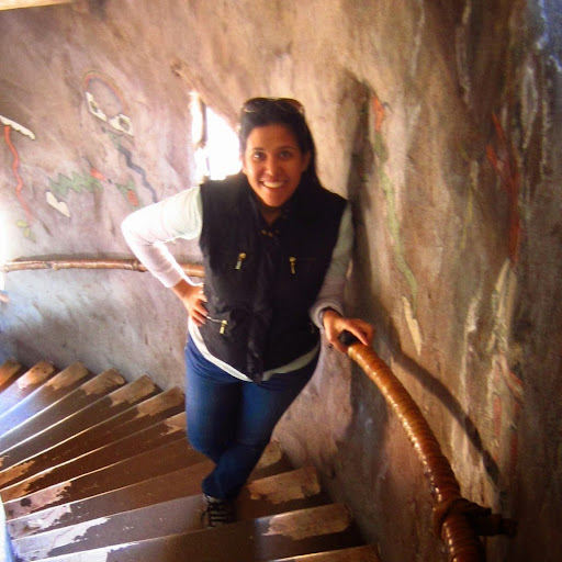 Jennifer Dsouza Photo 7