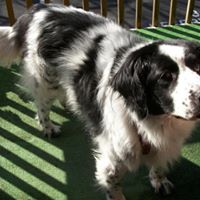 Suzanne Mcclintock Photo 3