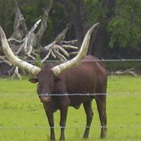 Janet Mauldin Photo 9
