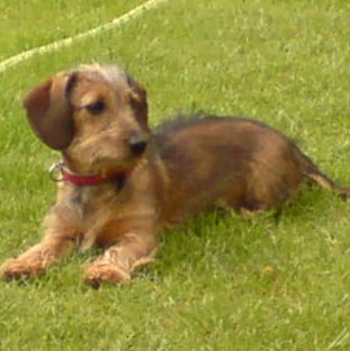 Susanne Peters Photo 11