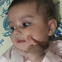 Muhammad Shabbir Photo 14