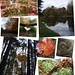 Autumn Crandall Photo 6