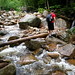 Nancy Brooks Photo 9