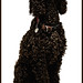 Mattie Sharp Photo 6