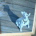 Raymond Russell Photo 8