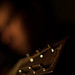 Martin Evans Photo 20