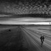 Todd Strand Photo 14