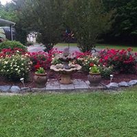 Rhonda Copeland Photo 22