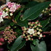 Teresa Price Photo 14