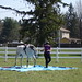 Gail Quinn Photo 33