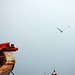 Ly Quang Photo 14