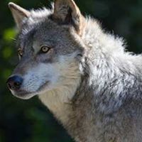 Jake Gray Photo 26