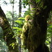 Fern Francis Photo 11