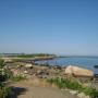 Don Roy Photo 18
