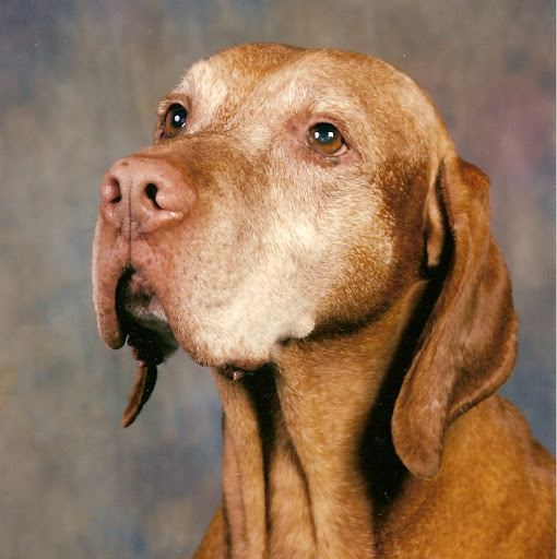 Marion Coffman Photo 7