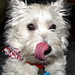 Sophia Love Photo 11