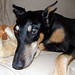 Gretchen Wells Photo 14