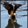 George Lang Photo 16