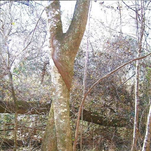 Ruby Mitchell Photo 31