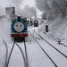 Thomas Snow Photo 21