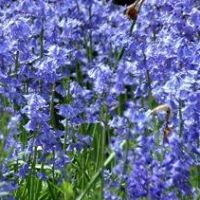 Beverley Martin Photo 8