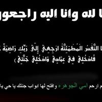 Khaled Aly Photo 30