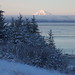Lisa Jenkins Photo 13