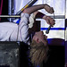 Patrick Milan Photo 35