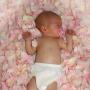 Carrie Hines Photo 25