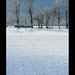 Jeff Winters Photo 9