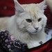 Edward Coon Photo 7
