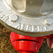Holly Plumb Photo 14
