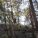 Jane Lemmon Photo 6