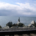 Debbie Harms Photo 8