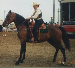 Joyce Hadley Photo 4